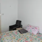 Veggie Single Room