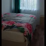 Veggie Single Room
